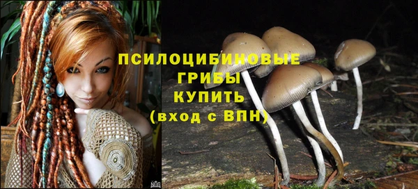 MESCALINE Богданович