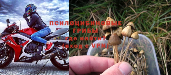 PSILOCYBIN Богородск