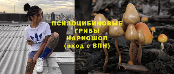 наркотики Богородицк